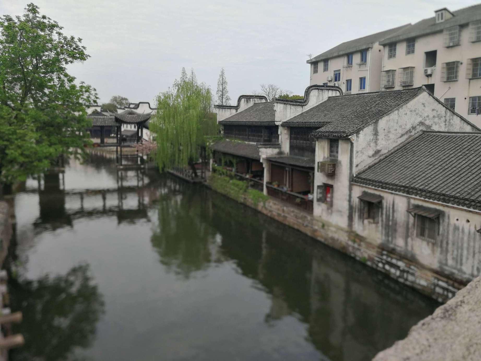 两会观察|窗口排长队、自助不会用？ 委员献策为政务服务便民化支招儿
